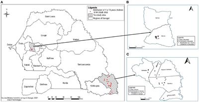 Prevalence of malaria-helminth co-infections among children living in a setting of high coverage of standard interventions for malaria and helminths: Two population-based studies in Senegal